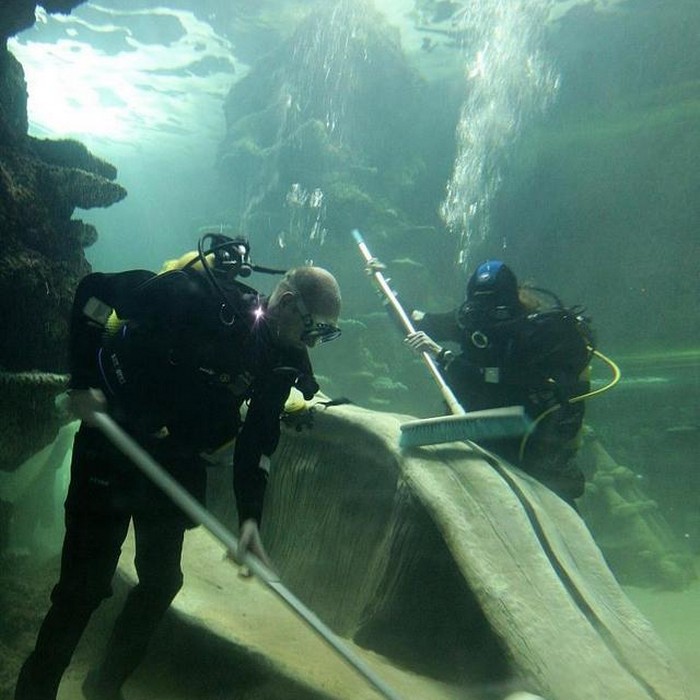 水下打捞救援